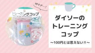 Daiso Training Cup Review
