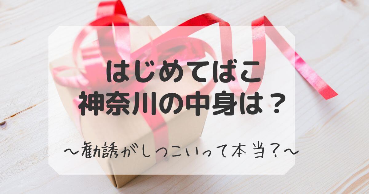 はじめてばこ神奈川の中身について