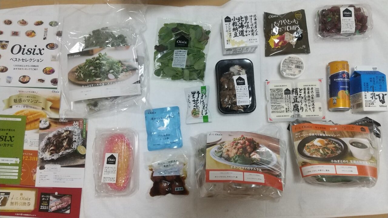 オイシックスお試しセット内容
