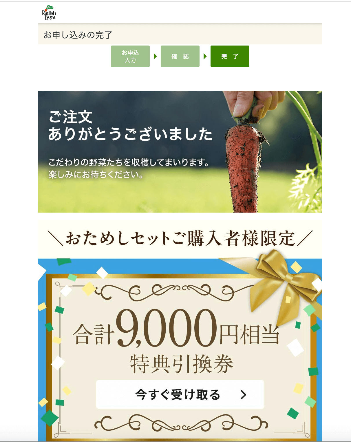 らでぃっしゅぼーやお試しセットだけ