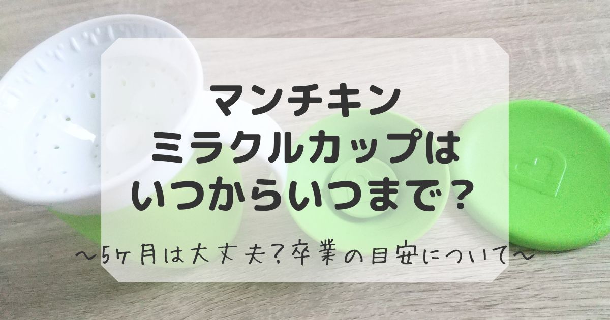 マンチキンミラクルカップはいつからいつまでかを解説